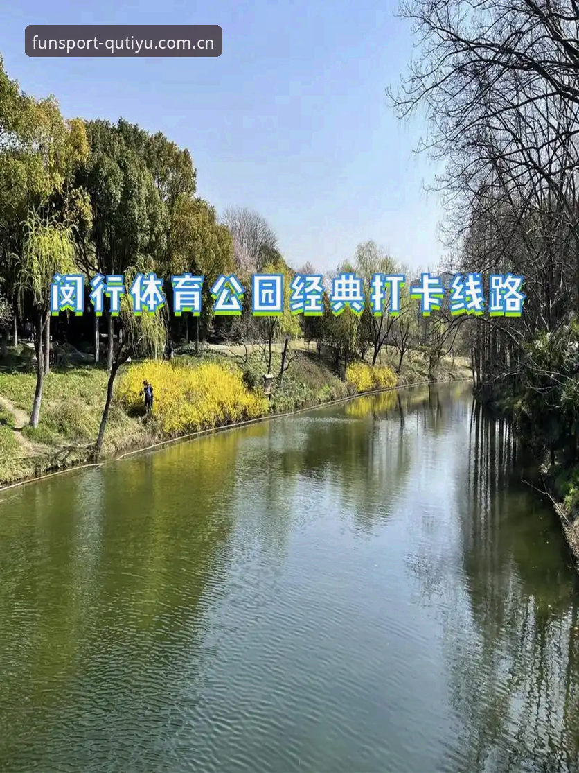 趣体育iOS下载 趣体育iOS下载全面评测:2024实测体验与同类平台对比分析